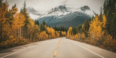 Autumn highway view near Calgary with mountain background symbolizing real estate decisions for fall and spring seasons.