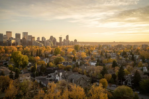 Aerial view of Altadore and downtown Calgary at sunset, showing tree-lined streets and modern homes in fall.
