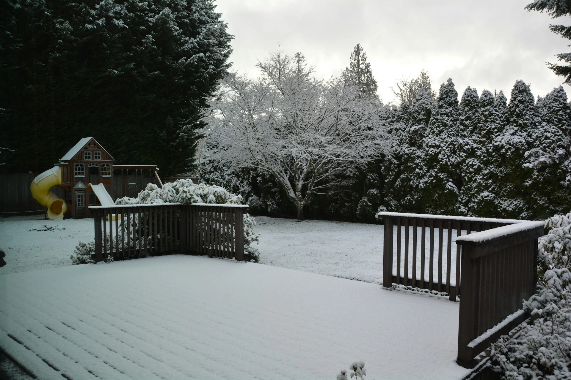 Snow-covered backyard and deck during winter, highlighting outdoor maintenance needs.