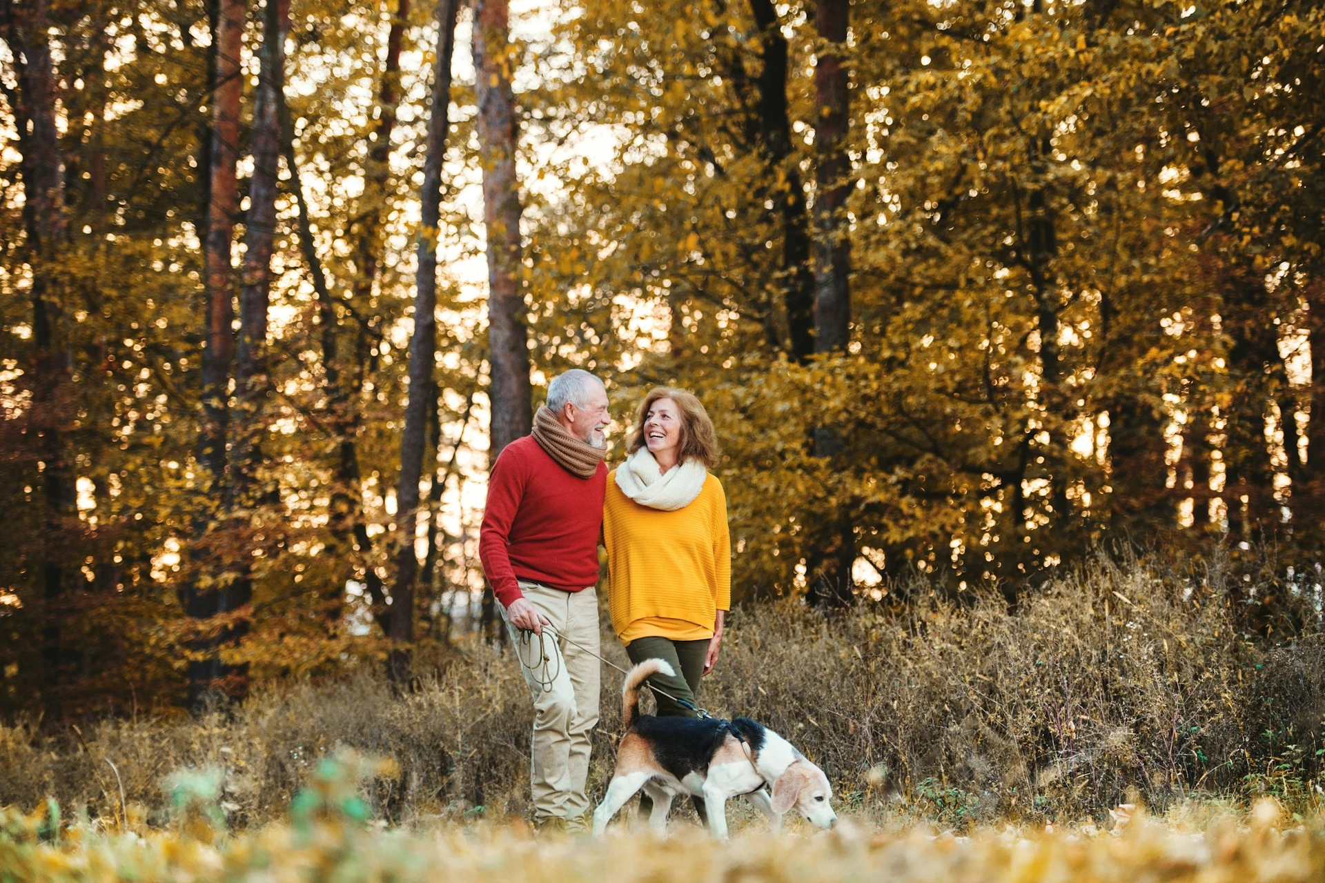 Older couple walking their dog through a Calgary park with golden fall trees.