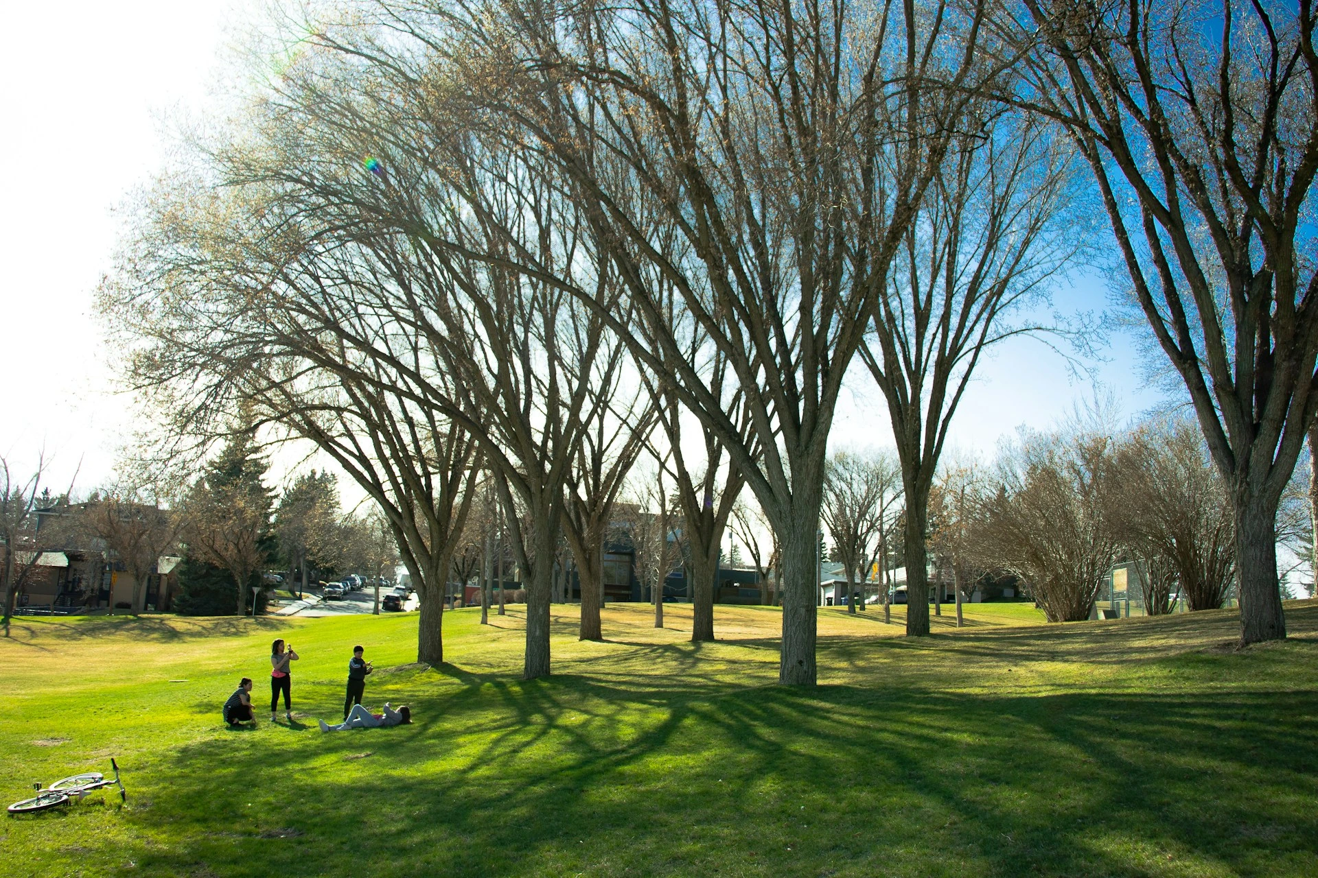 People relaxing on green lawn in Calgary during spring, symbolizing community lifestyle and housing appeal.