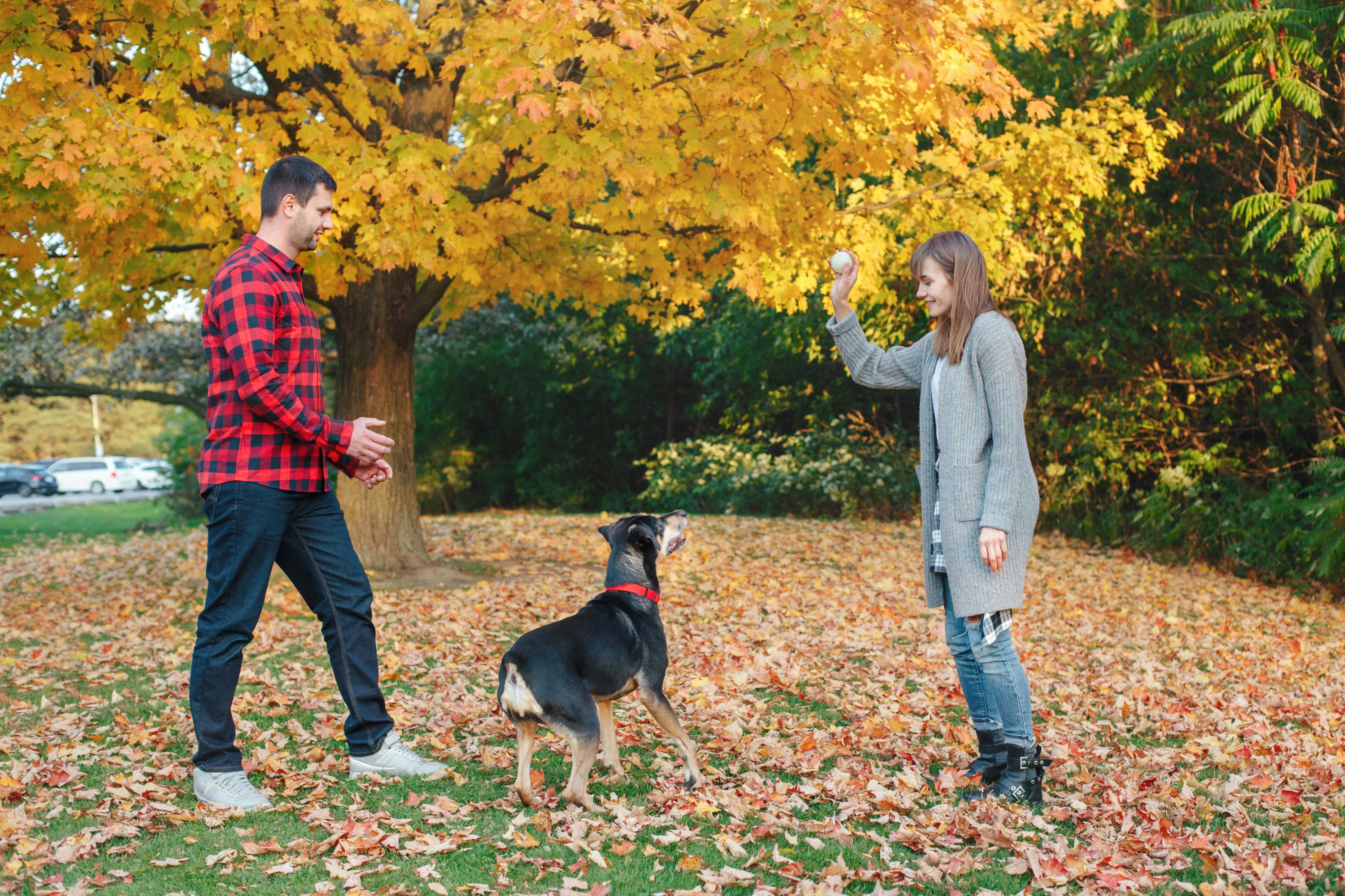 Couple playing with their dog in a Calgary park, highlighting family-friendly townhome living.