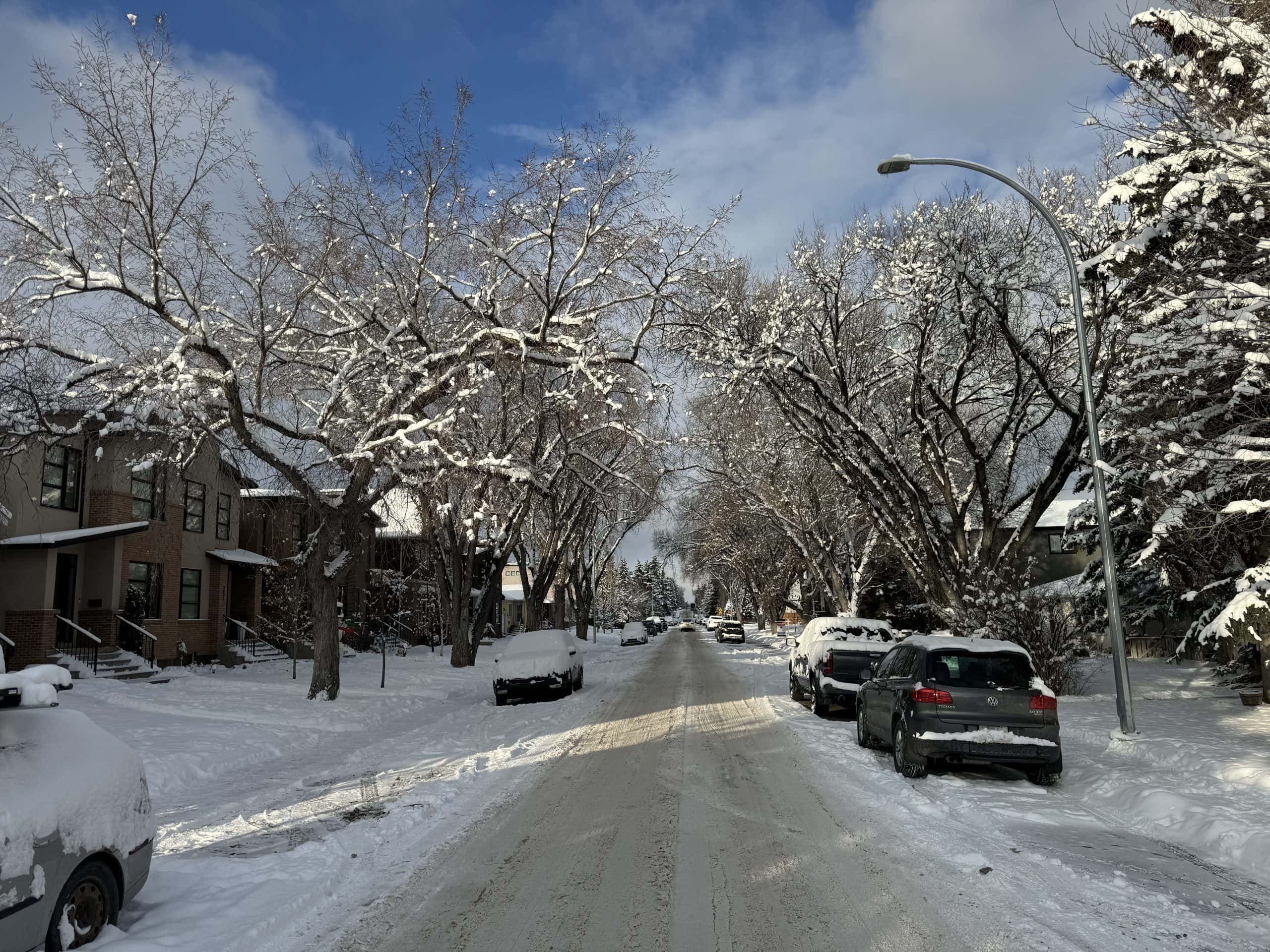 Quiet residential street in Citadel, Calgary in winter