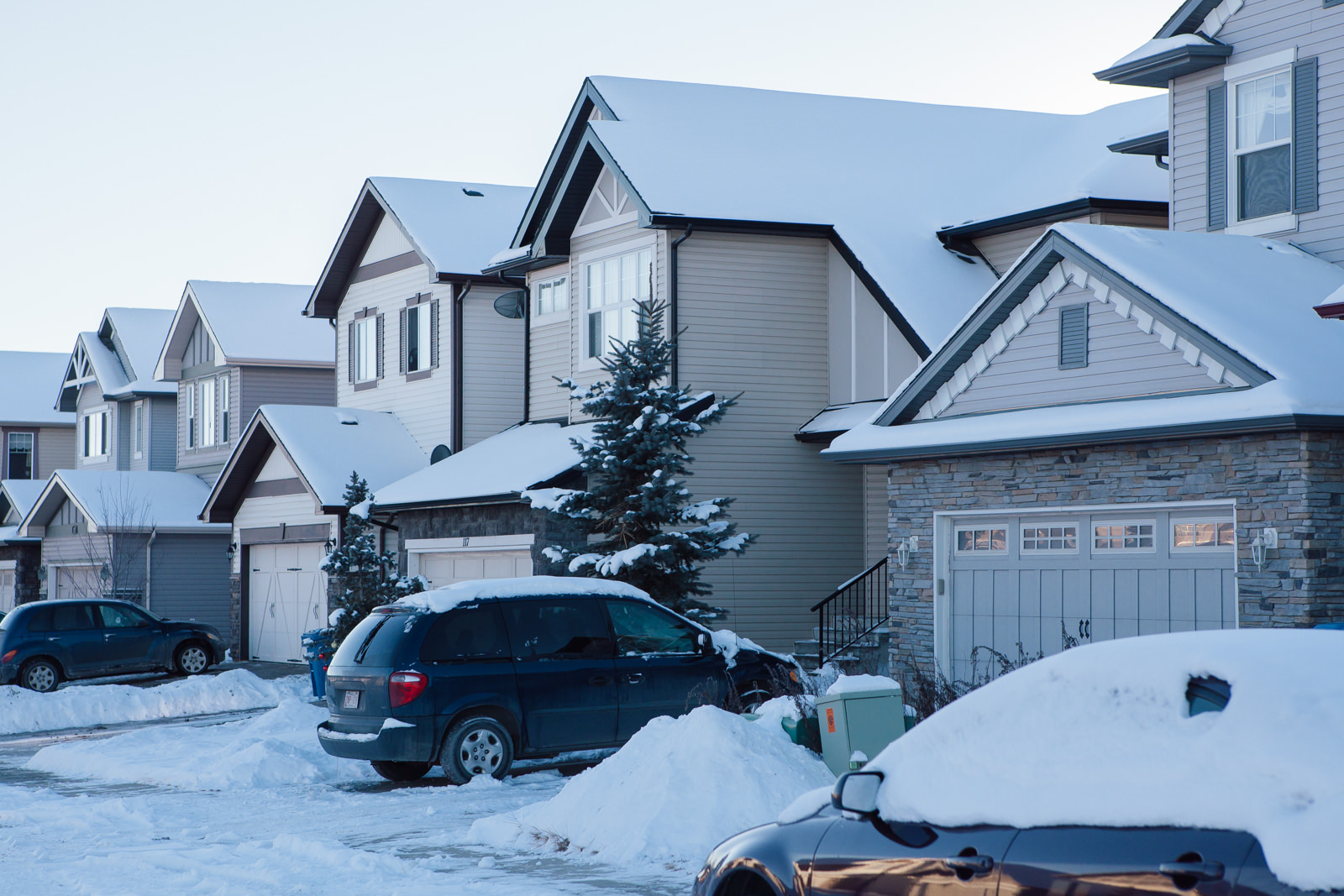 Calgary residential street in winter with homes and snow-covered trees