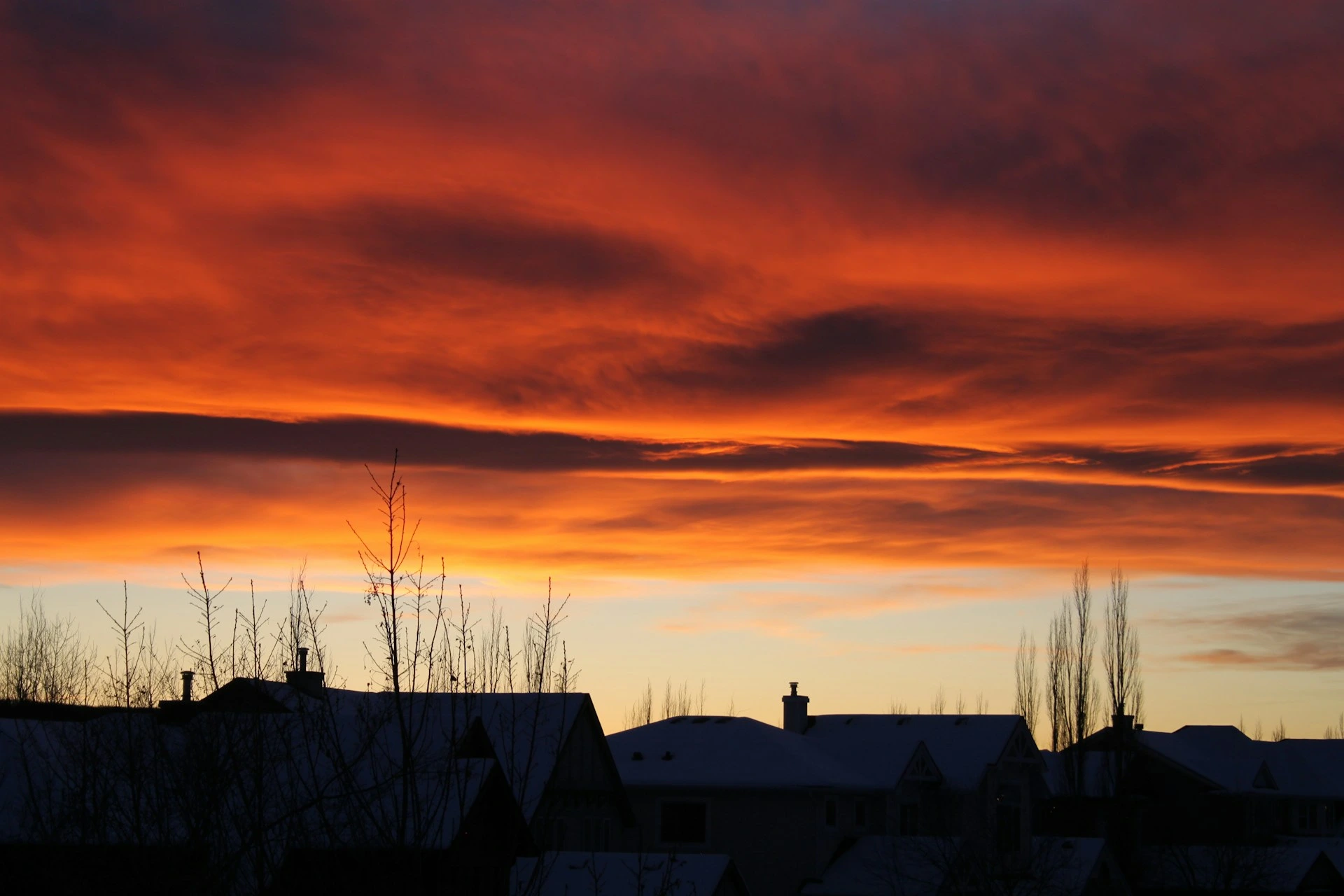 Vibrant Calgary winter sunset over snowy rooftops in a residential neighbourhood.
