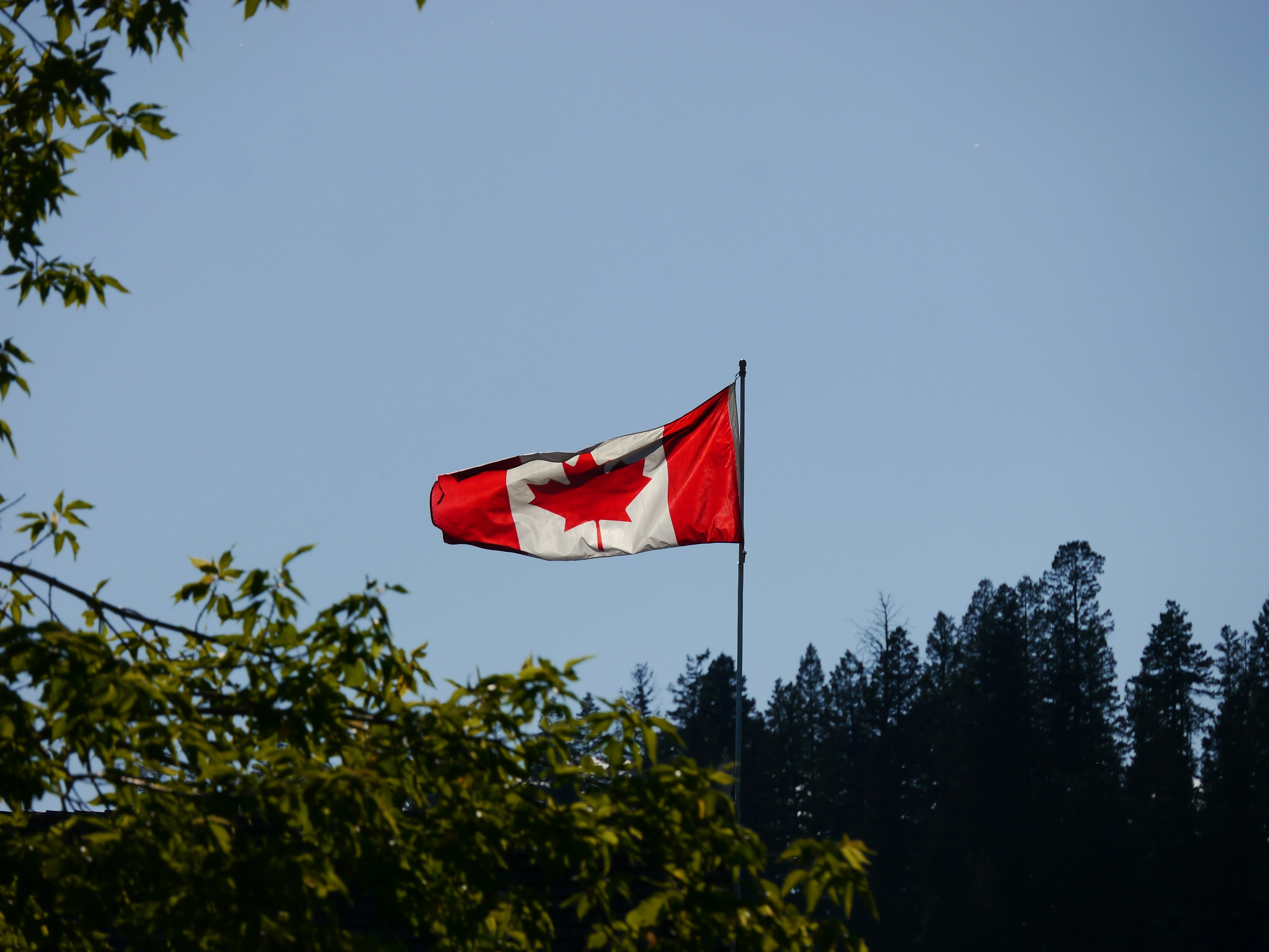 Canadian flag waving against clear sky, symbolizing national housing policies and interest rate impacts.