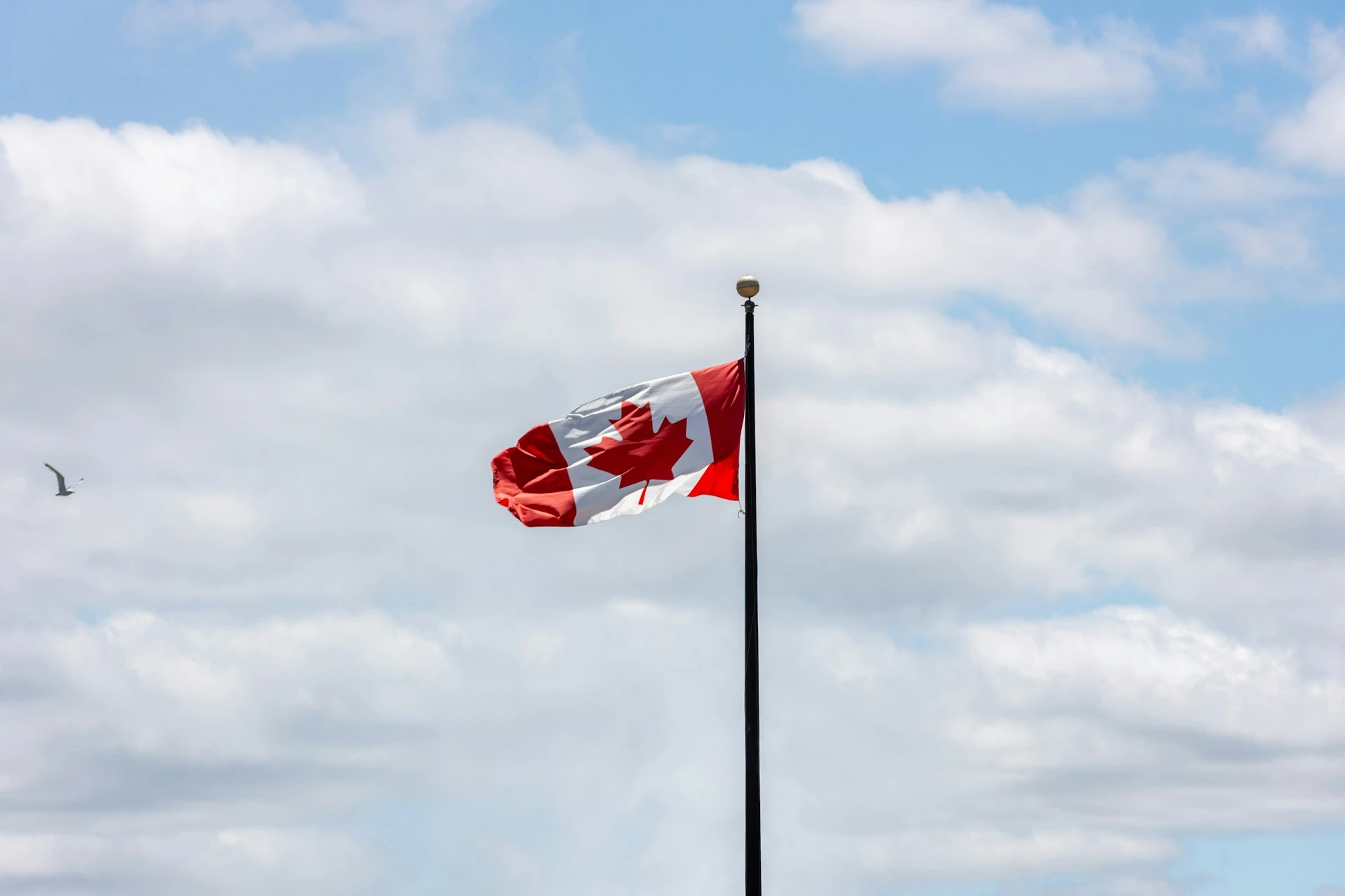 Canadian flag waving against a blue sky on Remembrance Day, representing national pride and remembrance.