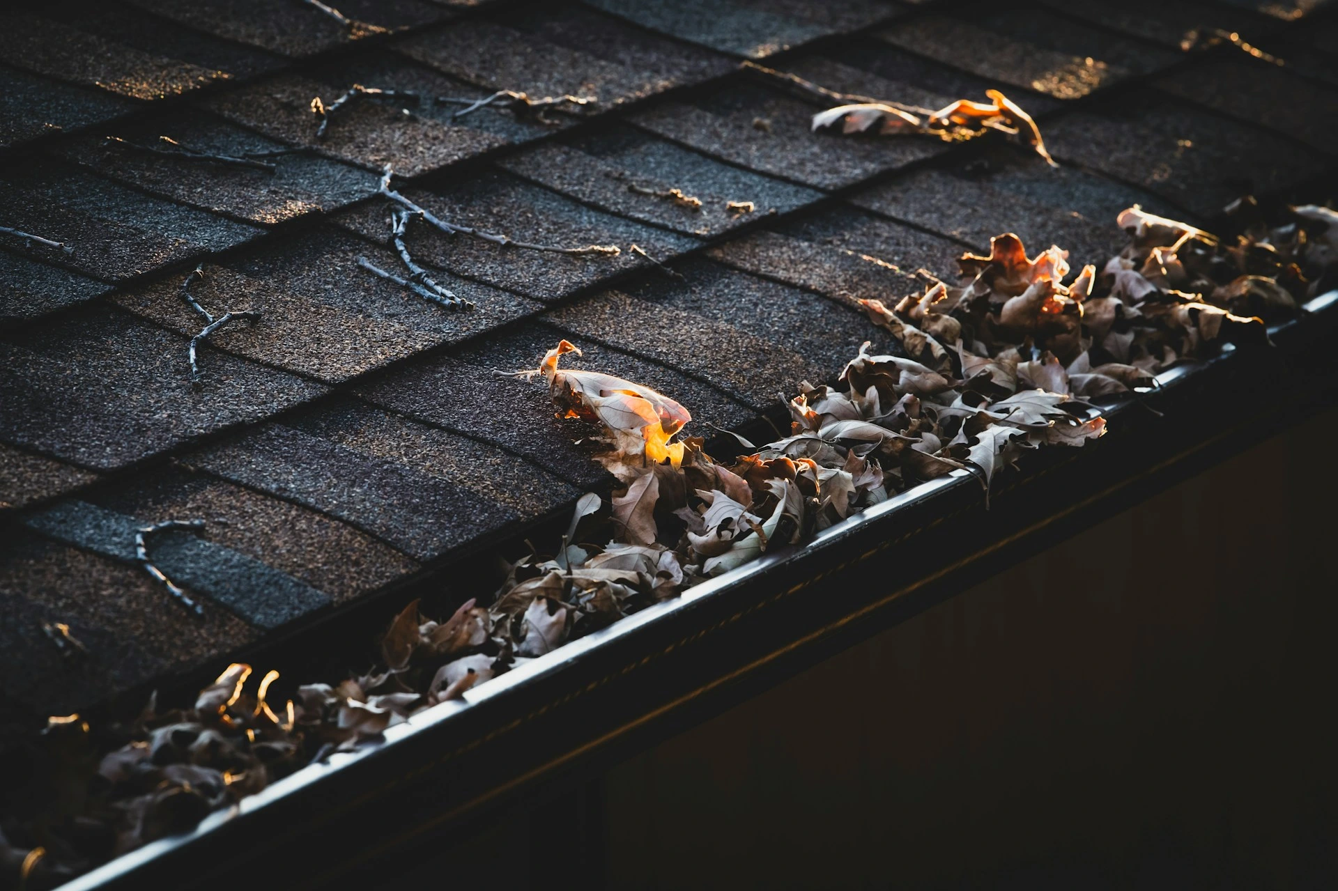 Close-up of dry autumn leaves clogging house gutters, showing the importance of seasonal home maintenance in Calgary.