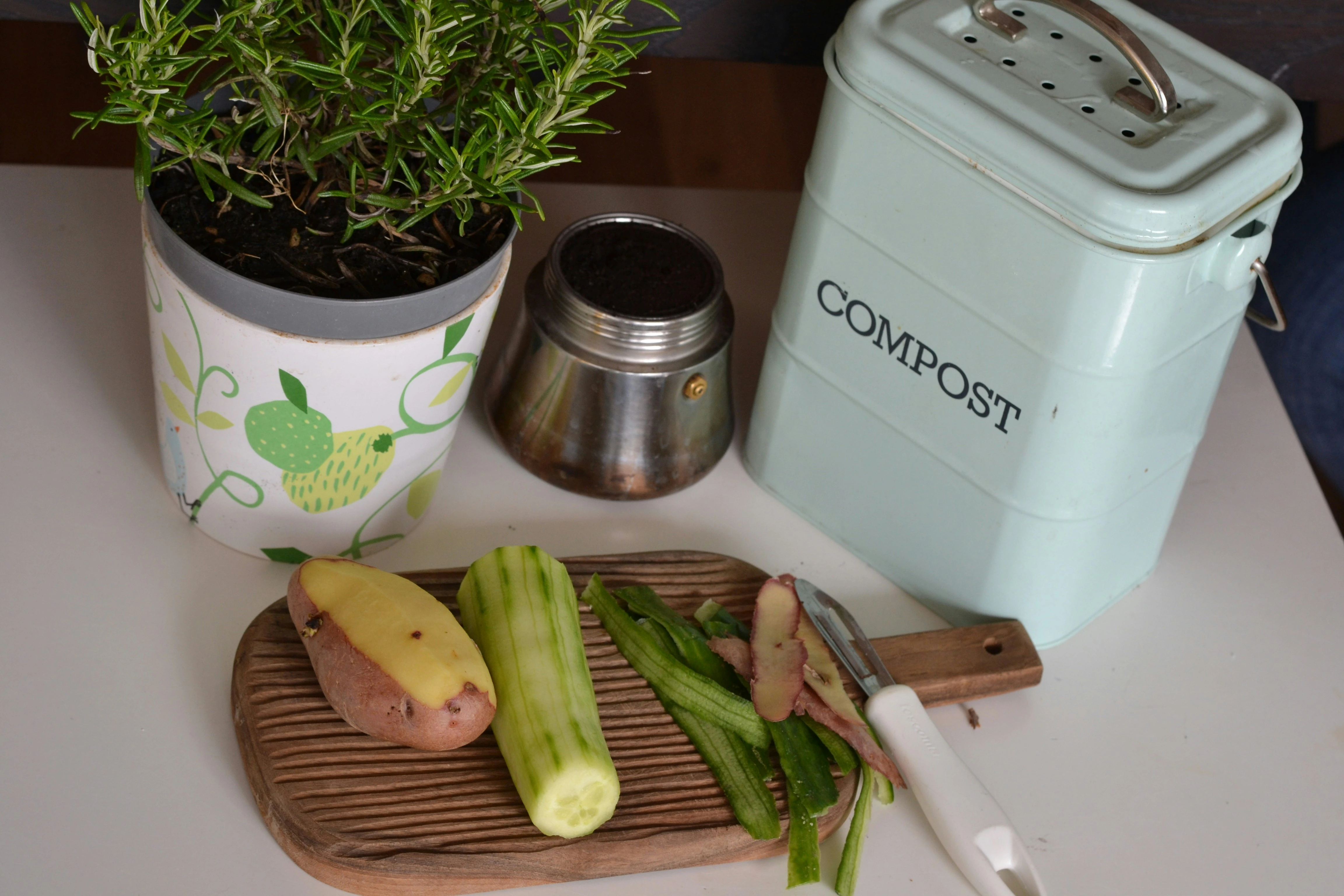 Kitchen compost bin with vegetable peels and food scraps.