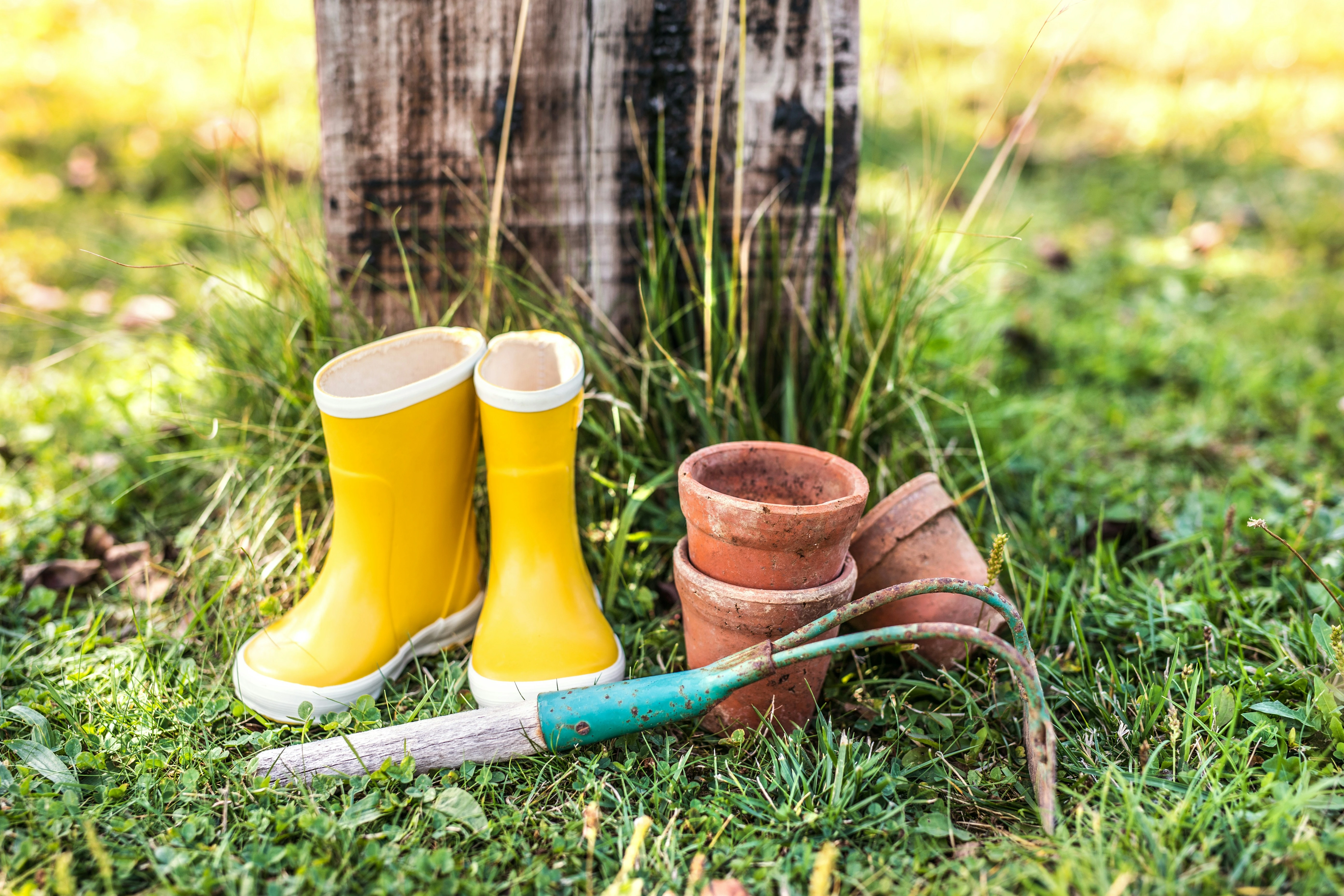 Yellow boots and gardening tools ready for fall yard care.