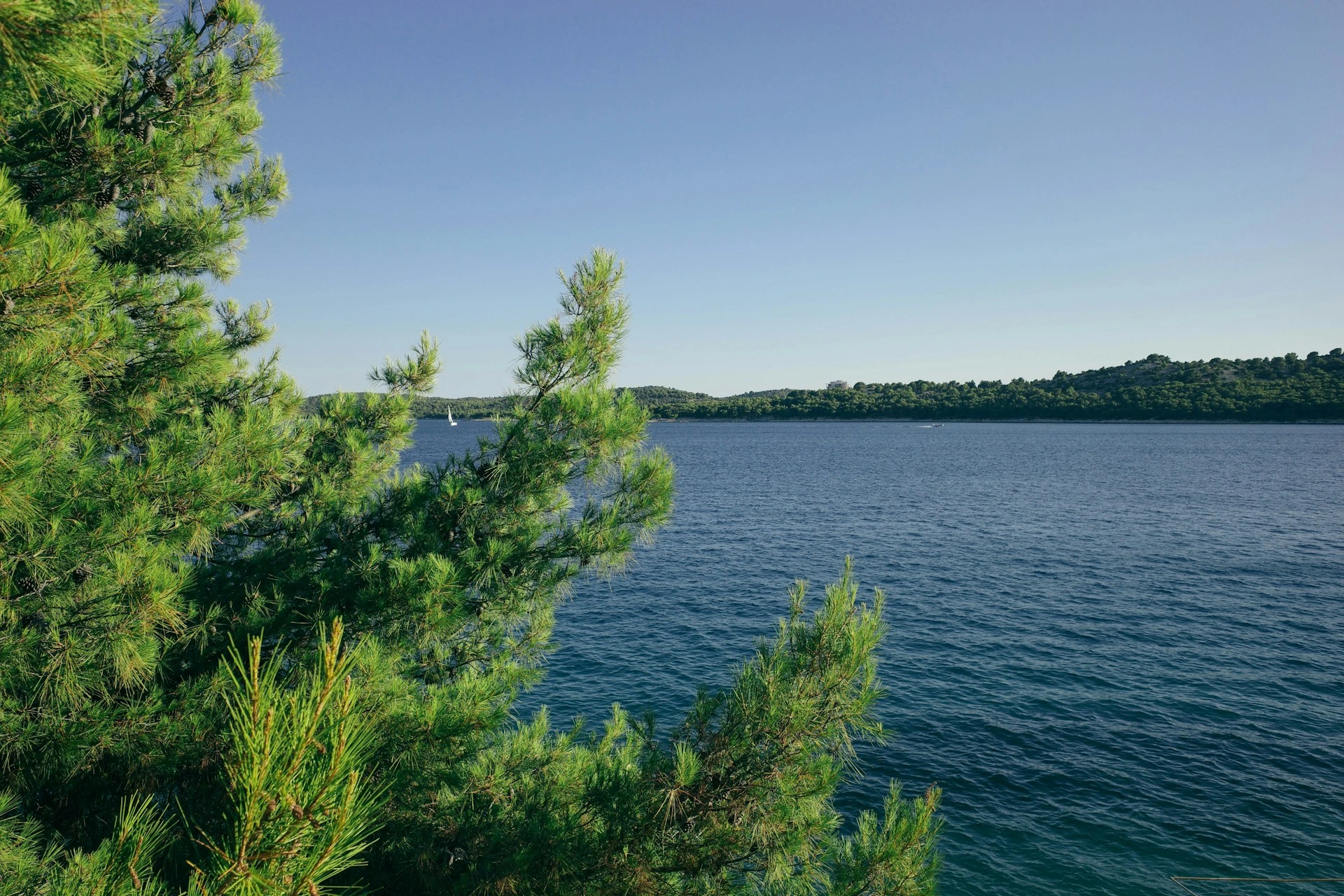 Lakeside greenery and calm blue water in Lake Bonavista Calgary, highlighting the community’s scenic environment.