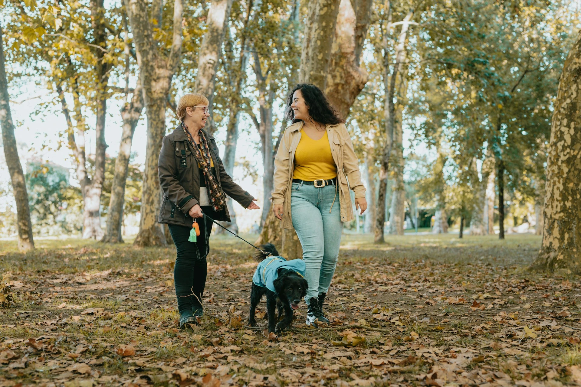 Two residents walking a dog through a park in Brentwood Calgary on a sunny day.