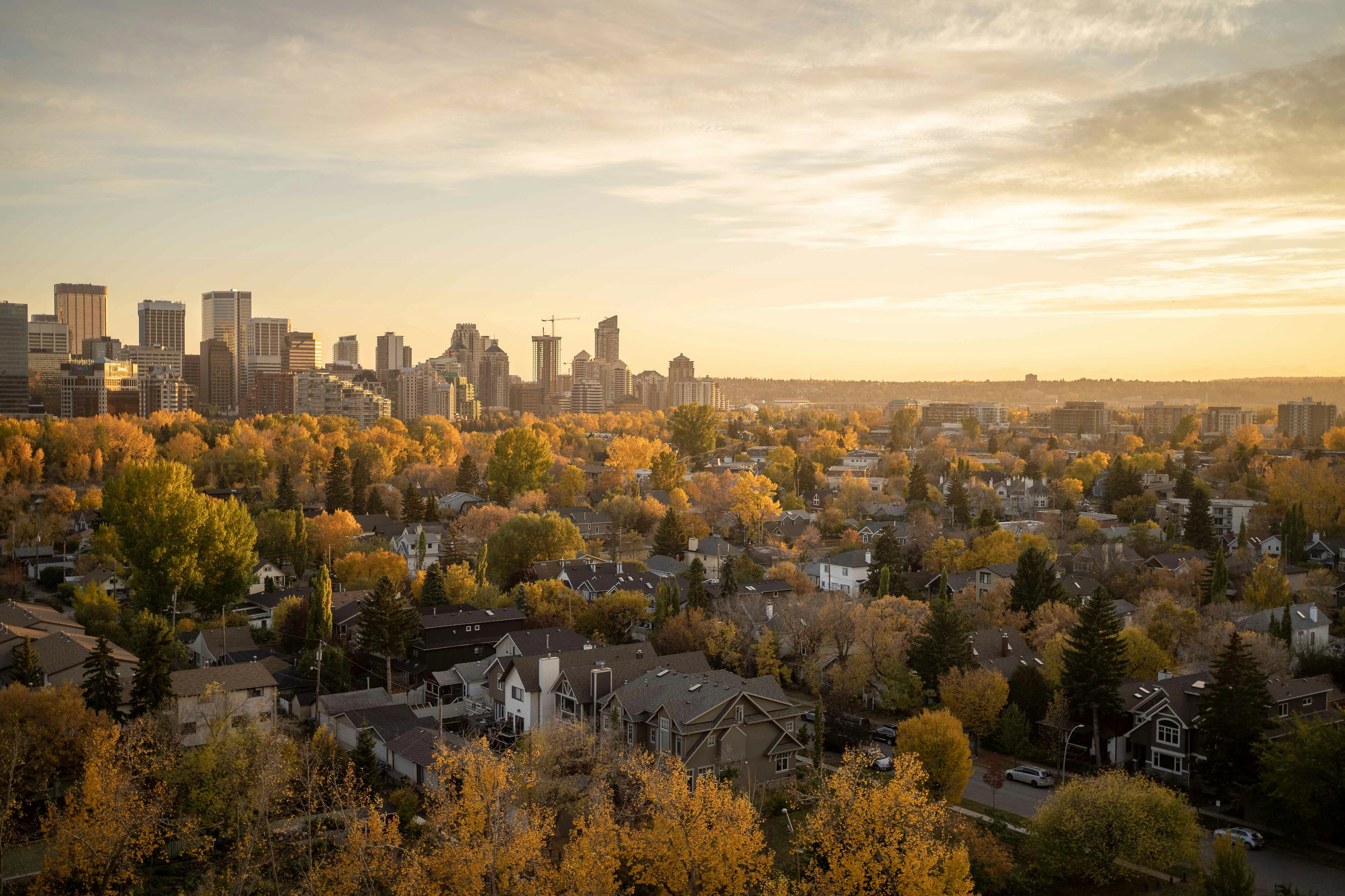 Aerial view of Altadore and downtown Calgary at sunset, showing tree-lined streets and modern homes in fall.
