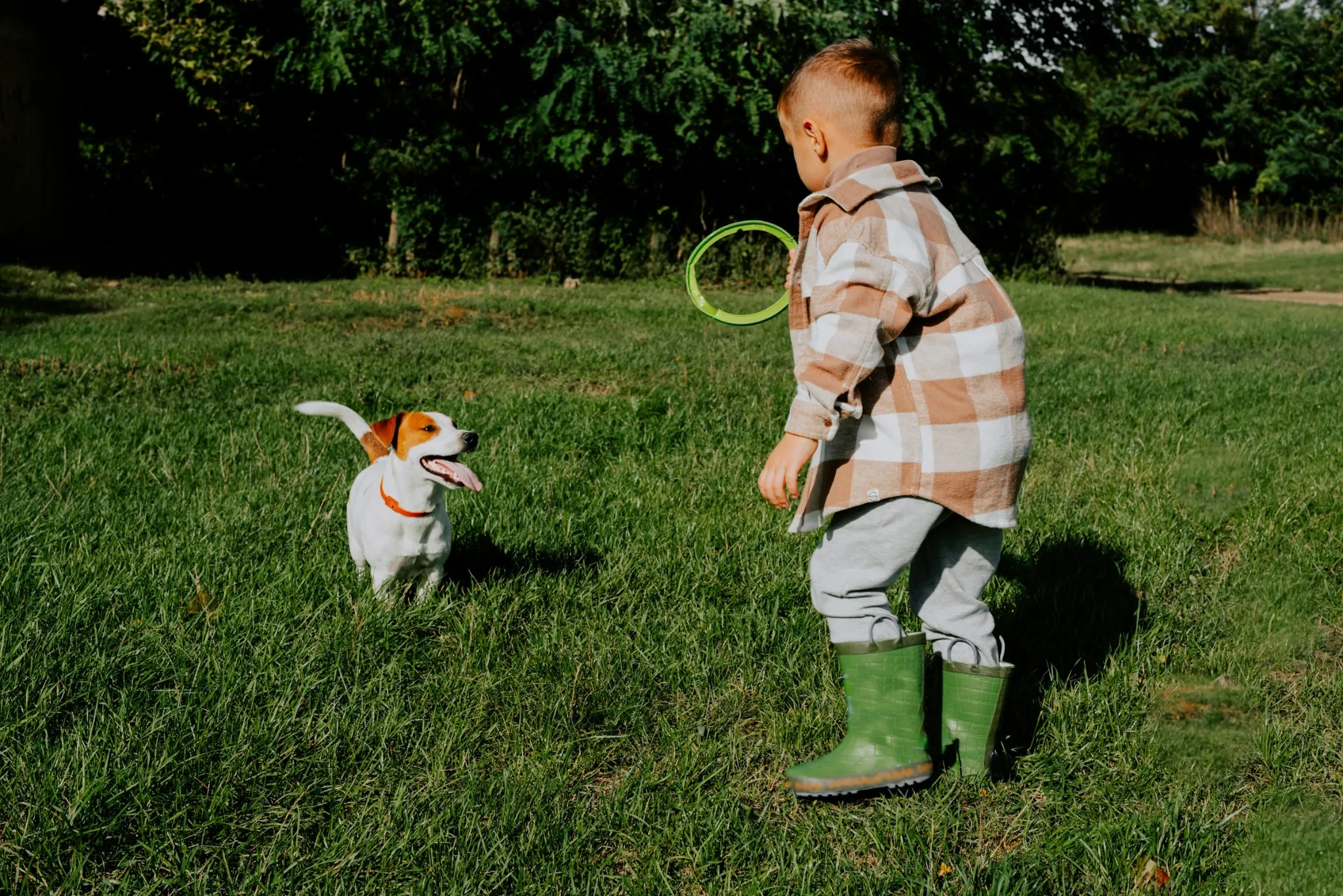 Young boy playing fetch with a dog in a sunny Calgary park, symbolizing pet-friendly communities.