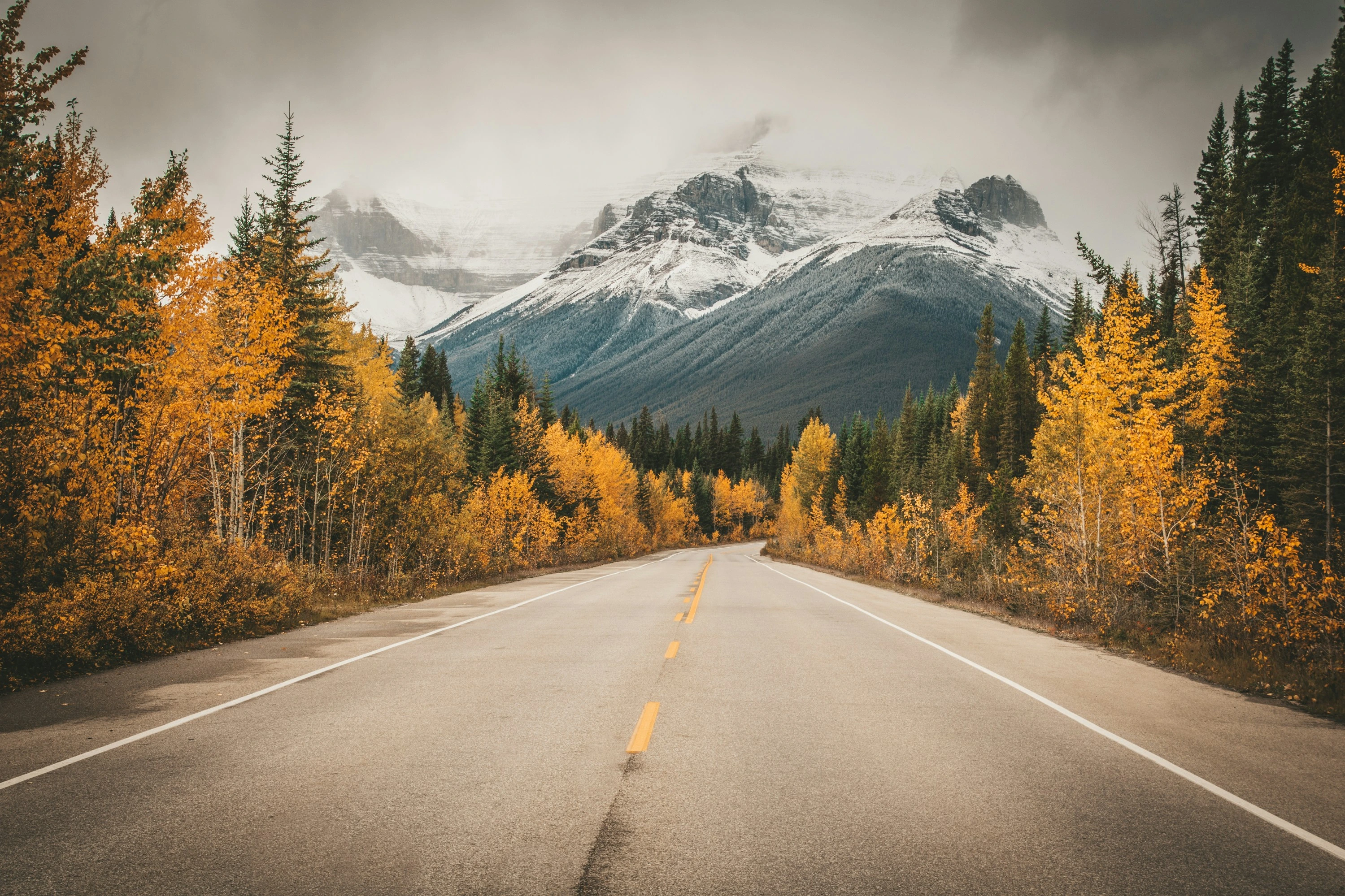 Autumn highway view near Calgary with mountain background symbolizing real estate decisions for fall and spring seasons.
