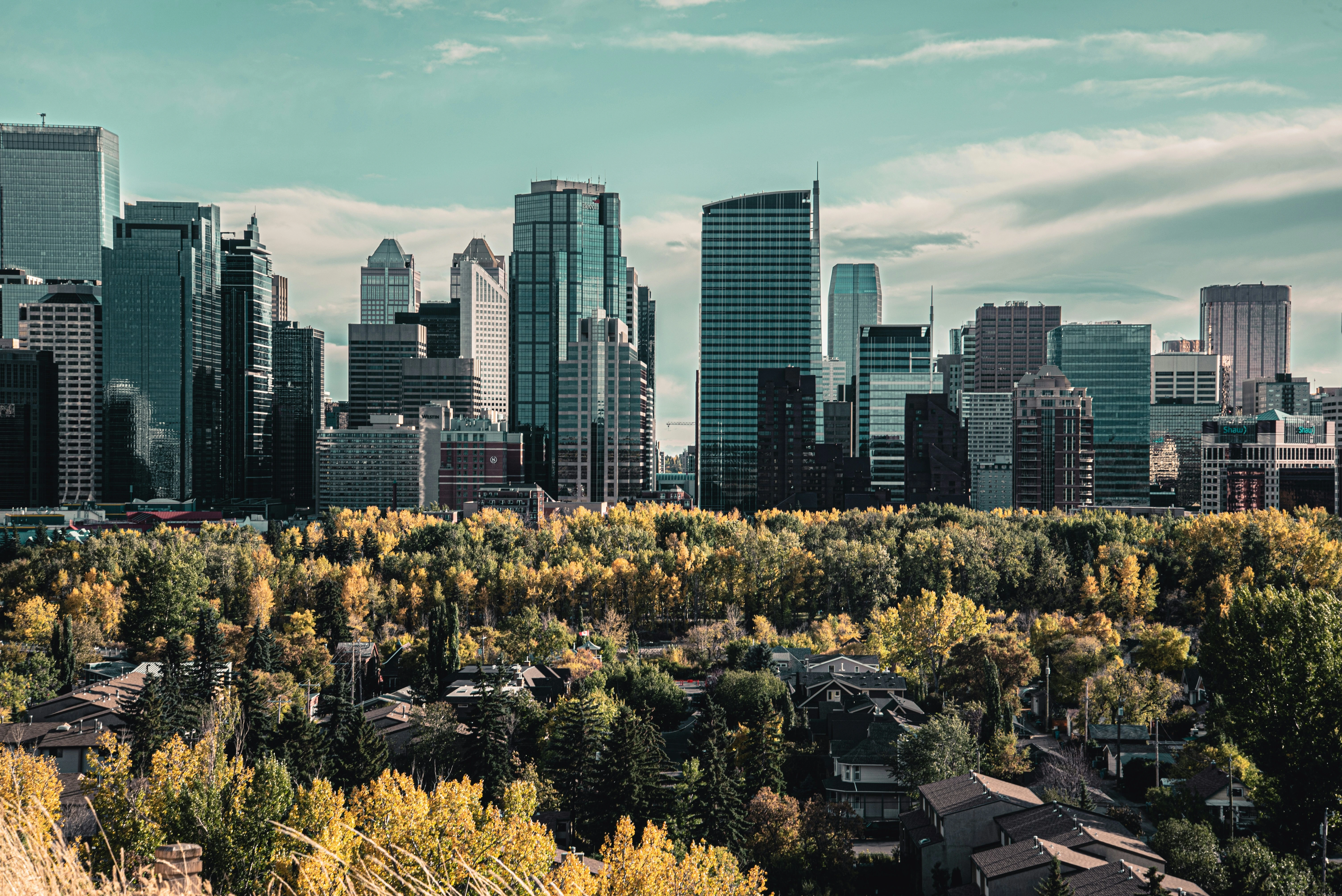 Calgary skyline with autumn trees representing the city’s real estate market trends in 2025.