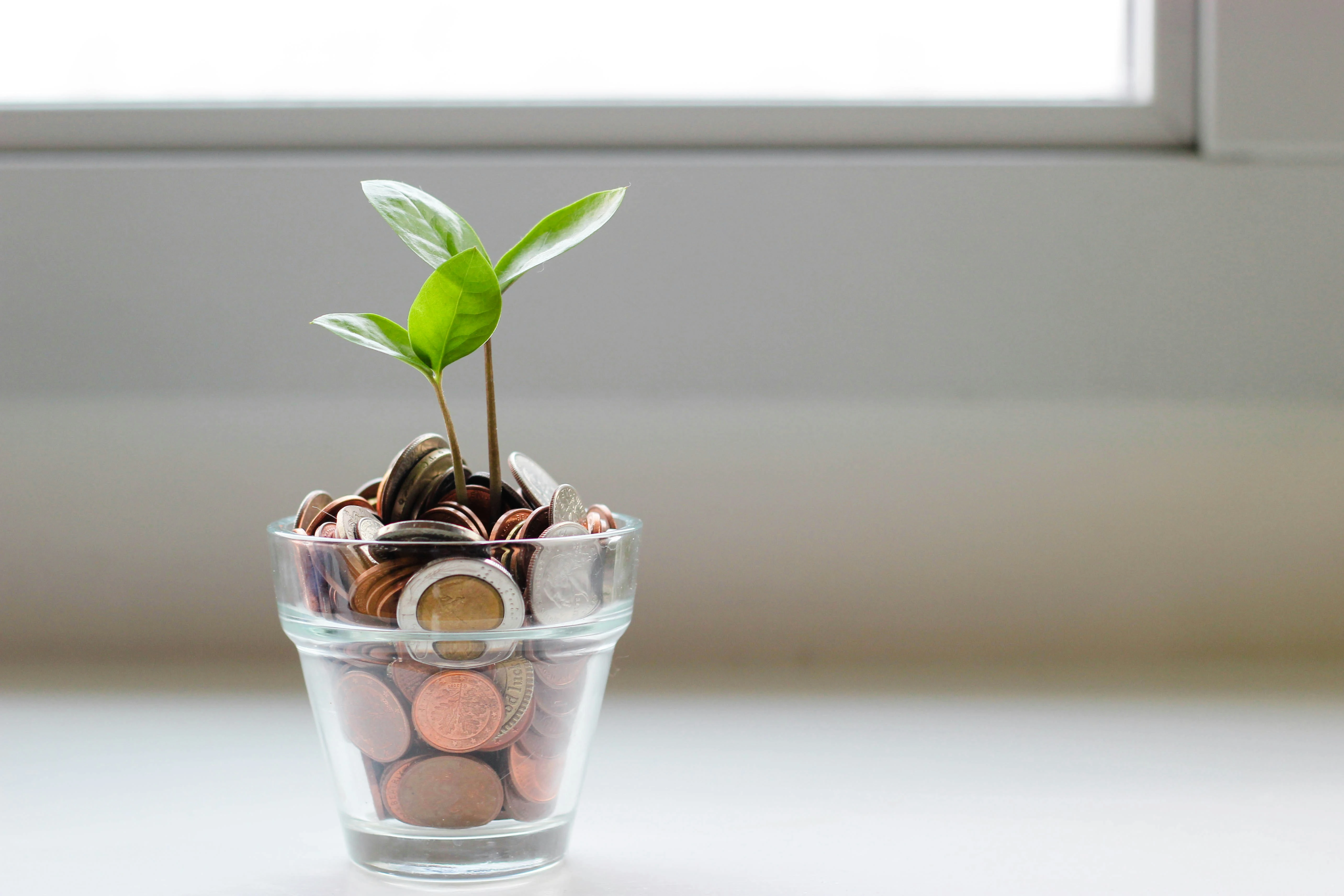 Green plant sprouting from coins in glass jar symbolizing eco-friendly savings.
