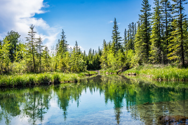 Griffith Woods Park in West Calgary