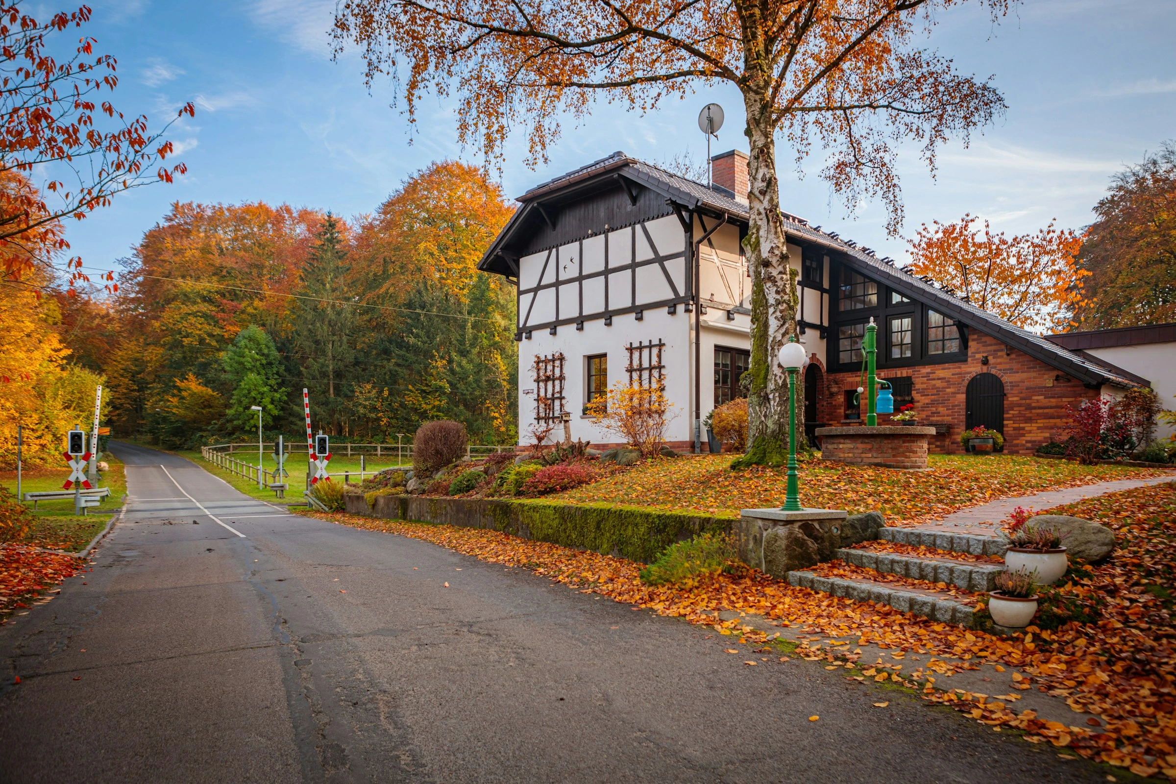 White and brick house surrounded by autumn trees and fallen leaves on a quiet Calgary street.